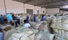 Keberadaan Industri Rokok Lokal Madura Dirasakan Manfaatnya Oleh Masyarakat